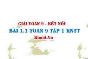 Bài 1.2 SGK Toán 9 tập 1 Kết nối tri thức